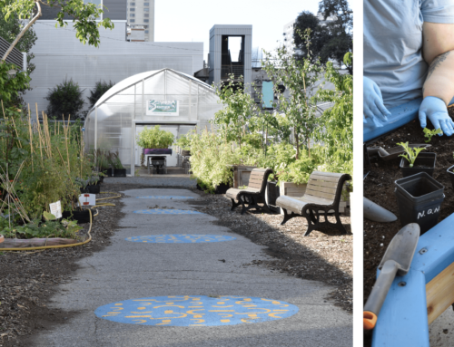 Solidarité Urbaine: Présentation de trois projets d’aménagement  inaugurés !