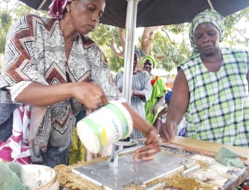 Démarrage du Projet SENAPI au Sénégal